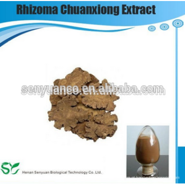 Melhor venda Rhizoma Chuanxiong Extract